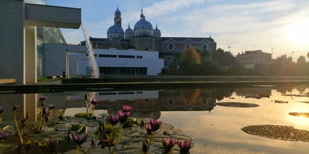 Unesco sites in Veneto: the Botanical Garden of Padua